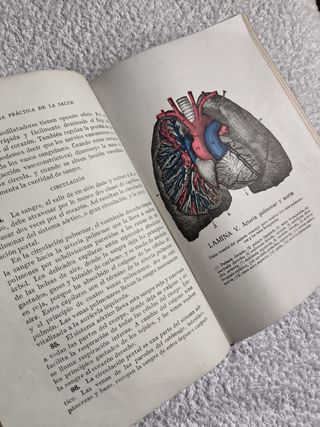 LIBRO GUÍA DE LA SALUD FEDERICO ROSSITER AÑO 1930