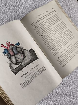 LIBRO GUÍA DE LA SALUD FEDERICO ROSSITER AÑO 1930