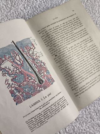 LIBRO GUÍA DE LA SALUD FEDERICO ROSSITER AÑO 1930