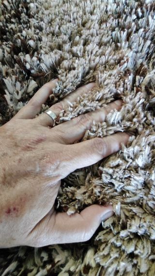 ALFOMBRA DE PELO LARGO