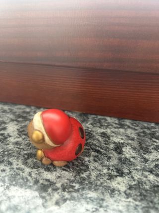 Thun coccinella Natale