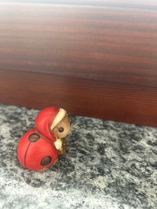 Thun coccinella Natale