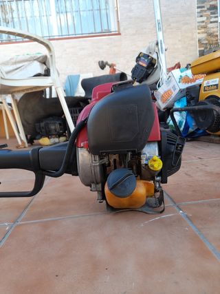 Desbrozadora Honda GX 22