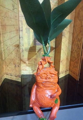 Mandrágora - Harry Potter