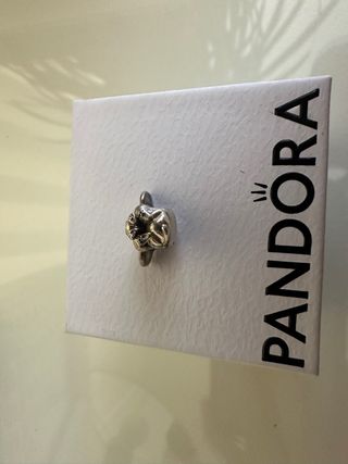 Simba pandora