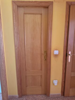 Puertas de madera (SIN MARCO )