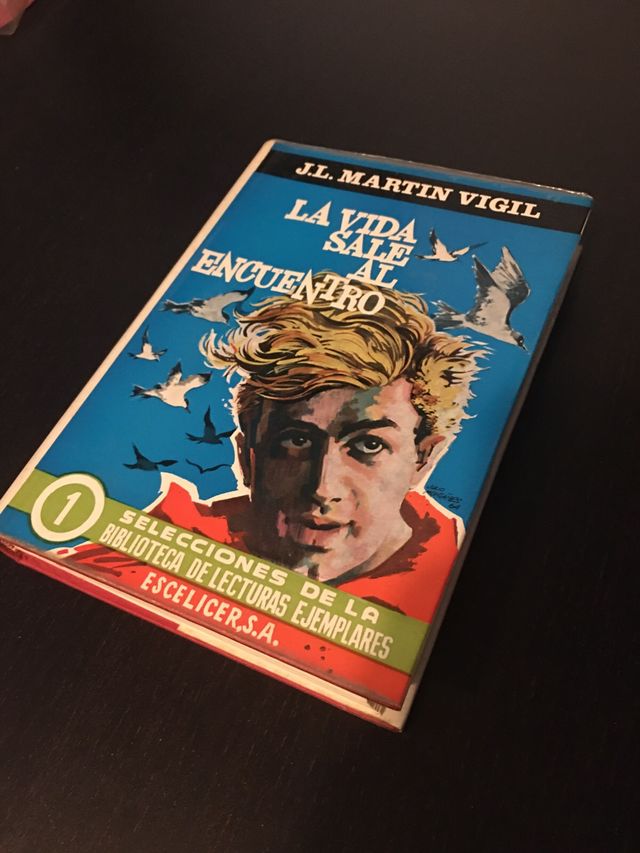LA VIDA SALE AL ENCUENTRO. J. L. Martín Vigil.