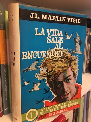 LA VIDA SALE AL ENCUENTRO. J. L. Martín Vigil.