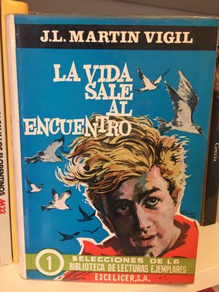 LA VIDA SALE AL ENCUENTRO. J. L. Martín Vigil.