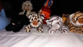 Peluches