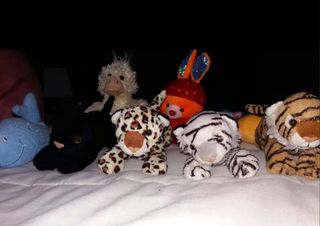 Peluches
