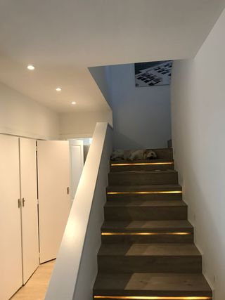 pintor económico y profesional