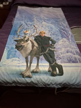 Lote decoración Frozen