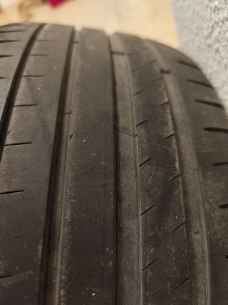 Neumáticos piloto sport 4 225