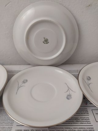 5 platos Santa Clara