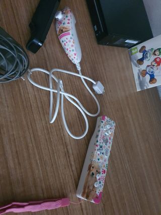Nintendo Wii