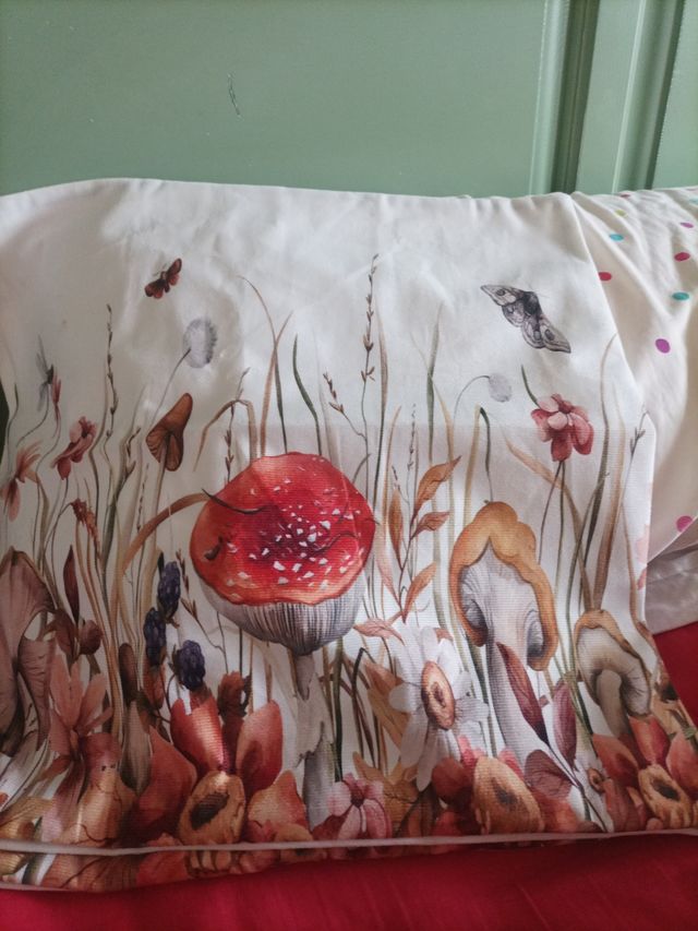 Dos cojines preciosos