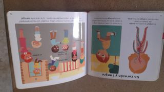 Libro el cuerpo humano para niños