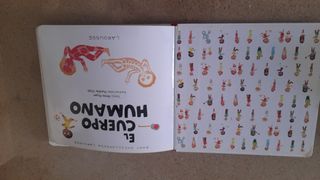 Libro el cuerpo humano para niños