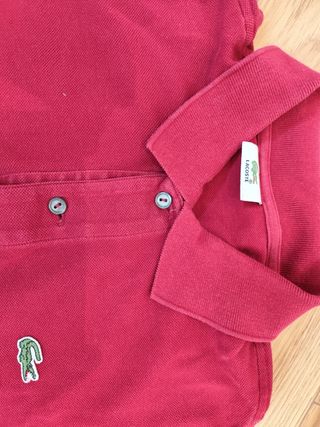 Polos Lacoste