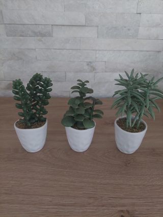 Piantine artificiali