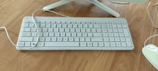 Ordenador HP all in one