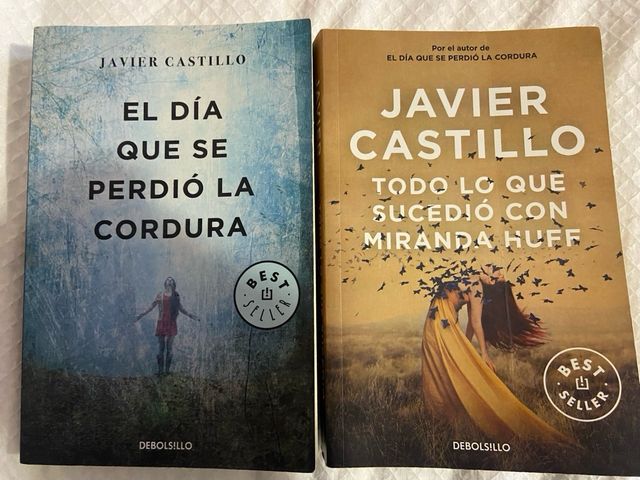 El día que se perdió la cordura / Todo lo que ...