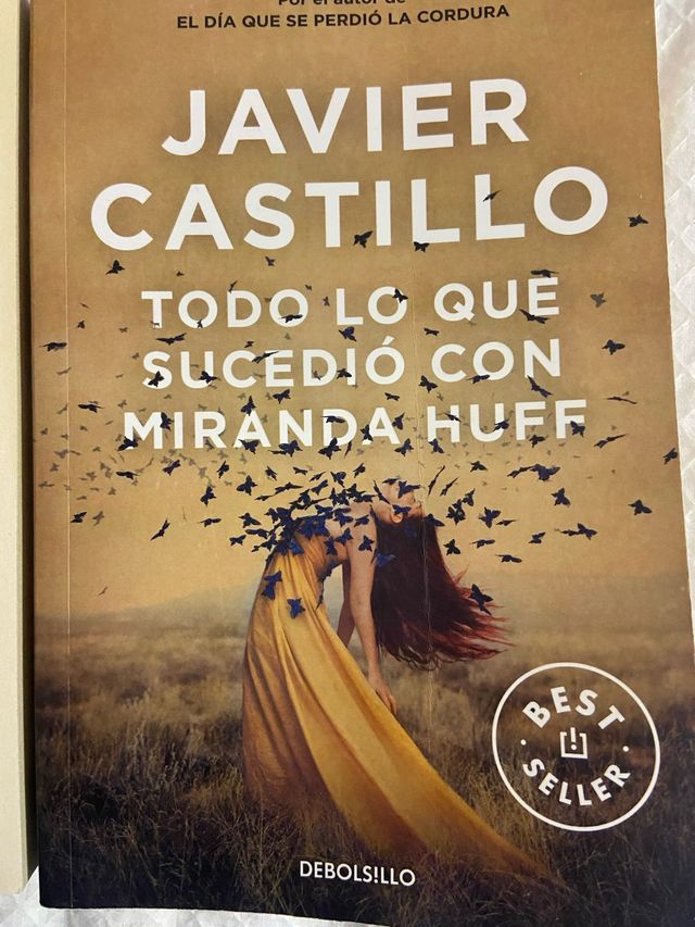 El día que se perdió la cordura / Todo lo que ...