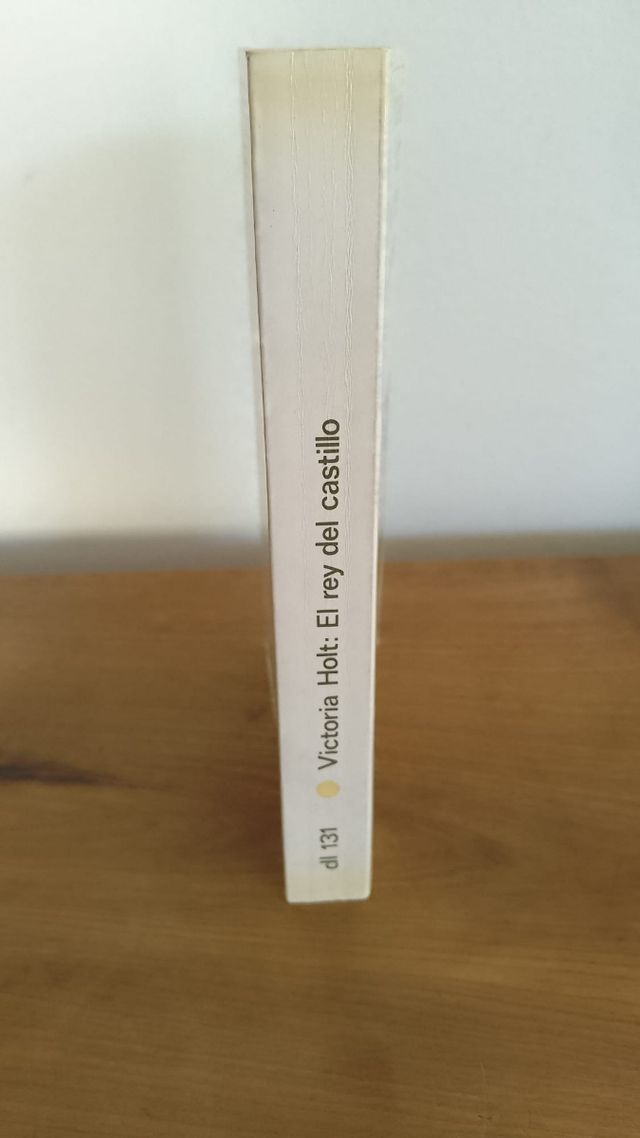 El Rey Del Castillo/the King of the Castle (Spanish and English Edition)