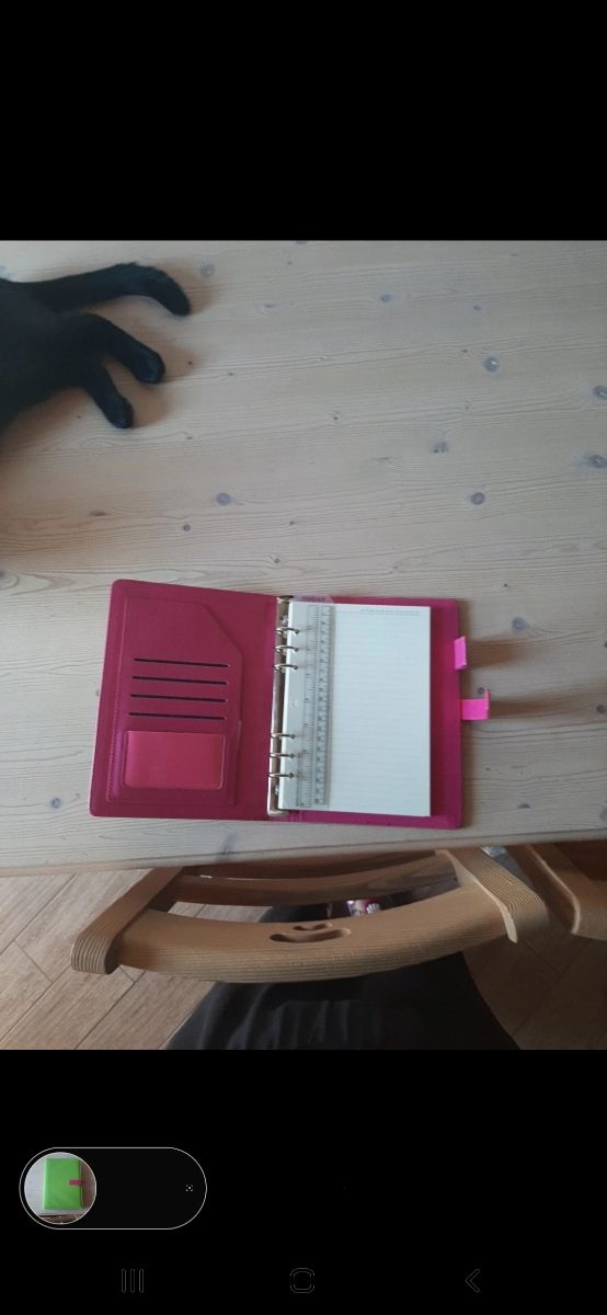 Organizer A5 ad anelli con fogli a righe.