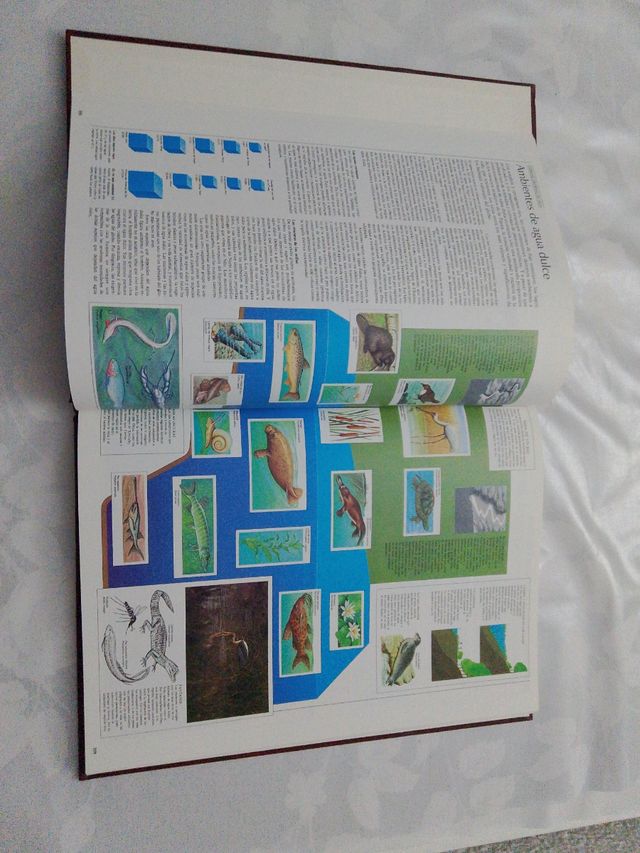 Enciclopedia universal nueva