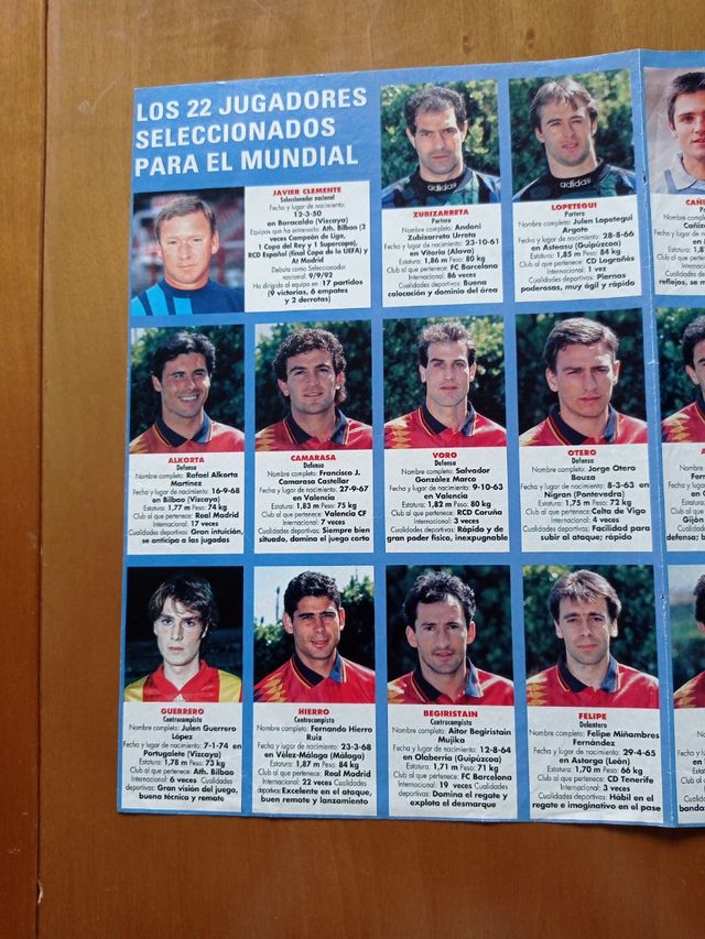 Poster selección futbol mundial 1994