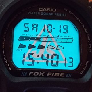 Casio G-shock DW-6600 Joe Festa 1996