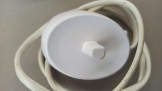 Alimentatore Oral B Braun