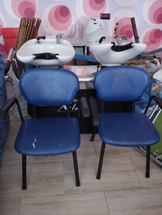 Lavacabeza doble abatible