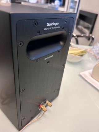 Casse per stereo o giradischi wireless