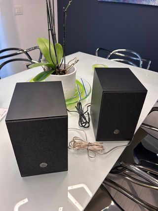 Casse per stereo o giradischi wireless