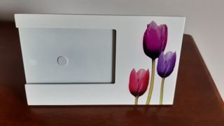 Portafoto Tulipani