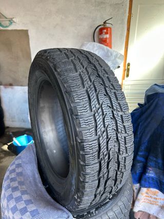 Neumatico ‘17 furgo