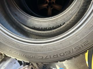 Neumatico ‘17 furgo