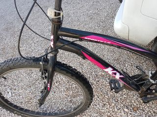 Bicicleta adulto