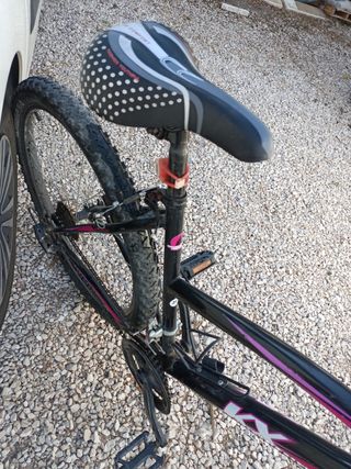 Bicicleta adulto