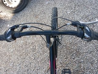 Bicicleta adulto