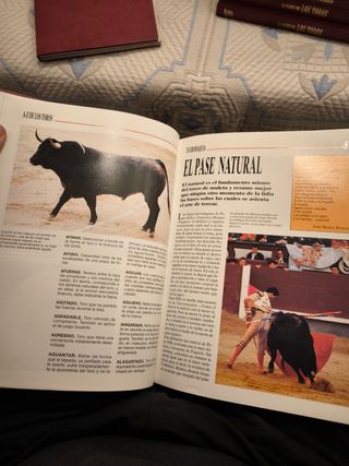 Coleccion La pasión por los toros