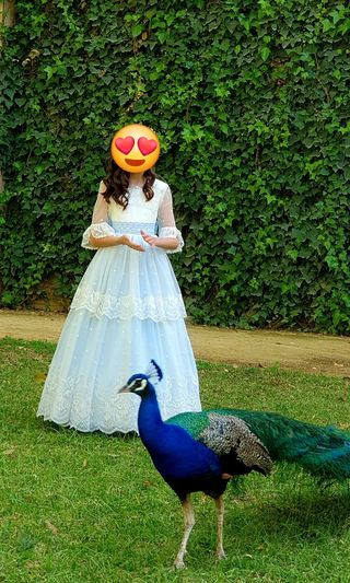 Vestido comunión 