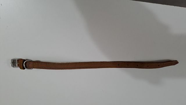 COMDERO PERRO PEQUEÑO