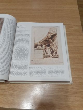 Libro El mundo de Goya en sus dibujos