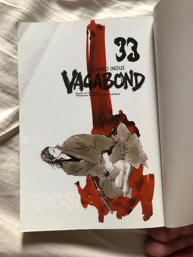 Vagabond 33 (Spanish Edition)