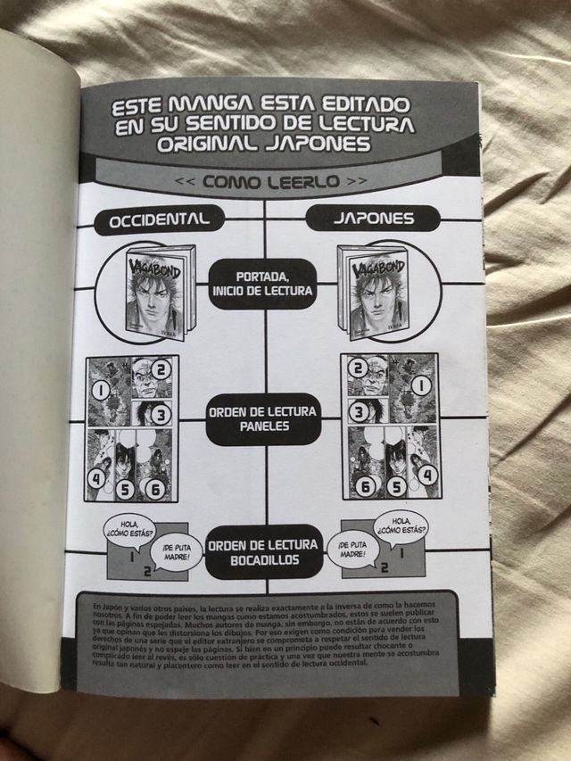 Vagabond 33 (Spanish Edition)