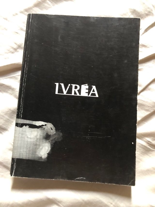 Vagabond 33 (Spanish Edition)